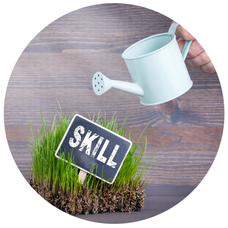 skills-upgrade skills-upgrade
